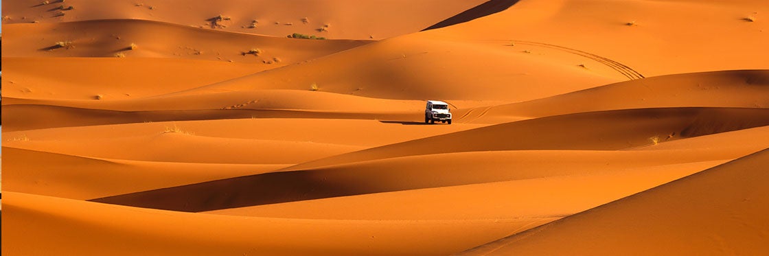Safari por el desierto